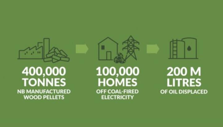 全球48%的木屑顆粒消費(fèi)來自住宅和商業(yè)建筑。從2020年到2021年，歐洲家庭生物質(zhì)消費(fèi)量增長了18%，商業(yè)應(yīng)用增長了12.5%。
