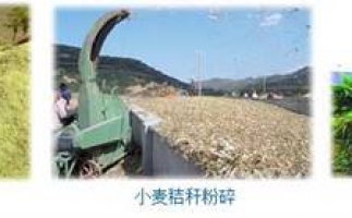 農(nóng)民科學(xué)發(fā)展新思路，秸稈綜合利用成為賺錢好門路之秸稈顆粒機(jī)
