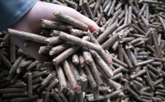 鋸末顆粒機(jī)顆粒，一種快速增長(zhǎng)的能源載體