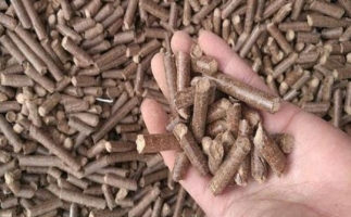鋸末顆粒機(jī)生物質(zhì)燃料與燃煤對(duì)比情況如何？