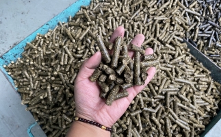 木屑顆粒機(jī)廠家告訴你生物質(zhì)顆粒燃料燃燒不充分的問題，該如何解決?