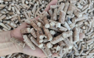 木材加工廠木屑堆積如山，環(huán)保部門令趕緊處理怎么辦？有它就夠了