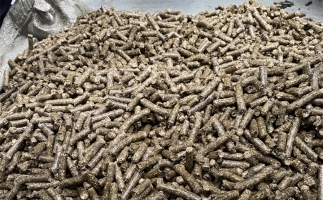 鋸末顆粒機(jī)的顆粒燃料比煤炭貴，為什么還有那么多人用？