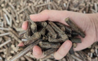 煤炭熱值那么高，為什么還要燒鋸末顆粒機(jī)的生物質(zhì)顆粒燃料？