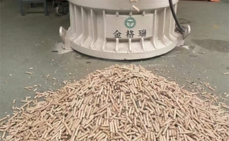 木屑顆粒機(jī)加工環(huán)保燃料顆粒，用綠色昭示未來
