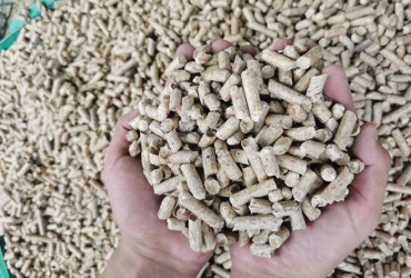 林西縣：從“一把火”到“一把金”的生態(tài)農(nóng)業(yè)增收路